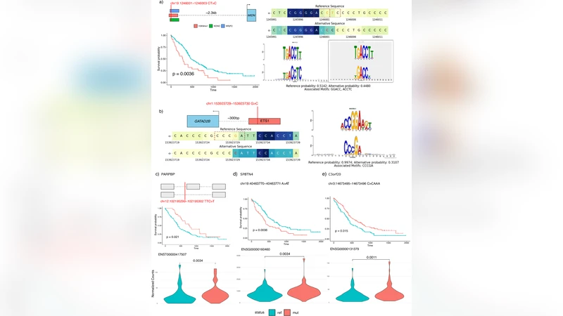 AMS 02를 이용한 고에너지 양전자 기원 구분