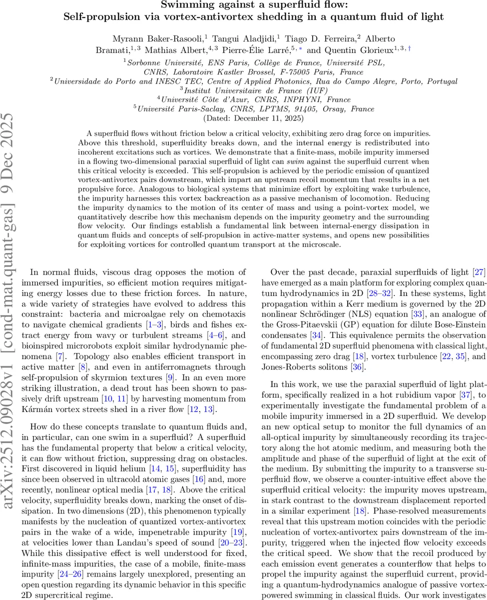 일반화된 Ziegler 진자: 연속과 이산 시스템에서의 카오스 길잡이