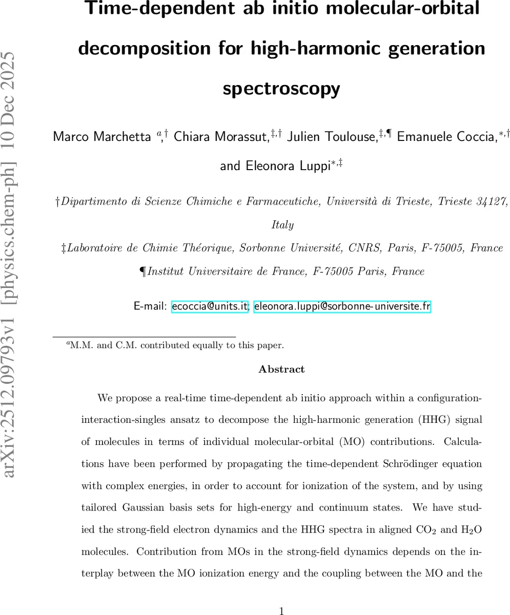 옥톤니언 슬라이스 정칙함수의 보어 반경과 세자르·푸리에·라플라스 연산자