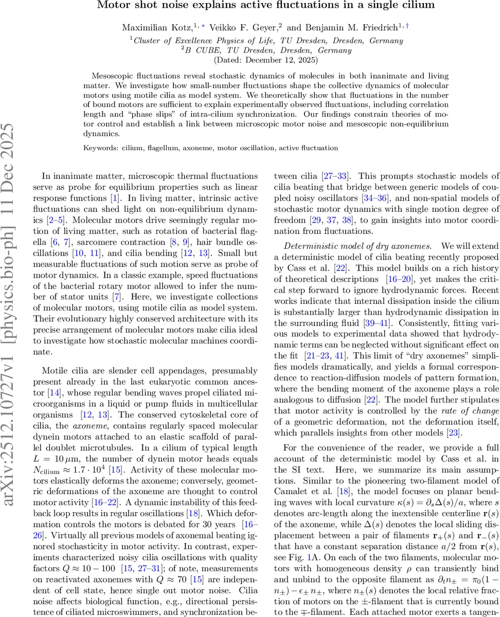 데이터 기반 바텀오니움 포텐셜 추출 및 QGP 내 특성 분석