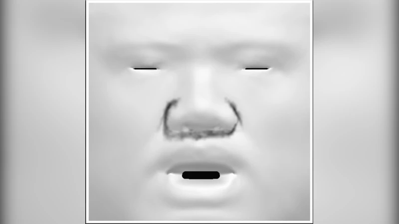 시간과 인과성의 탐구