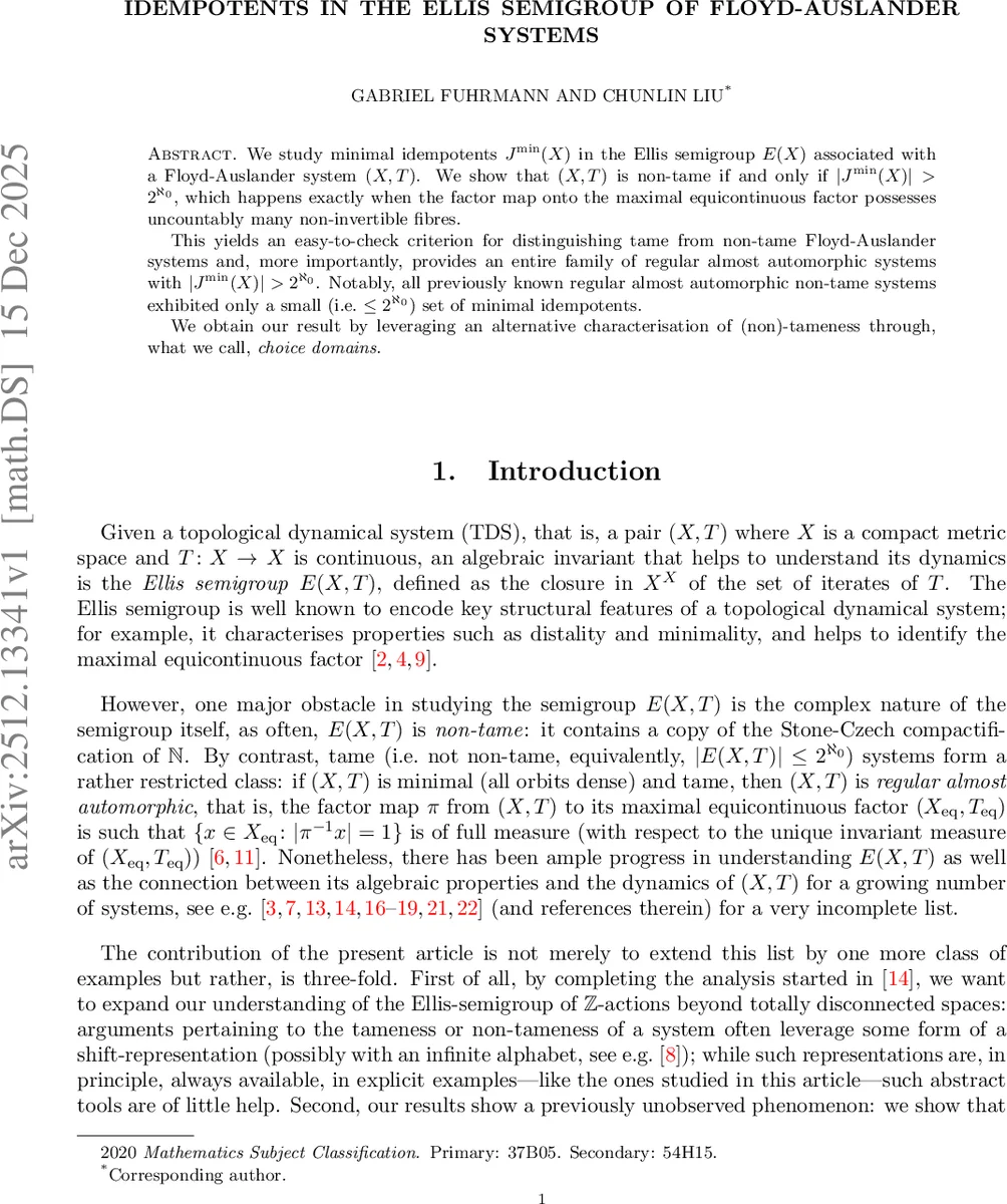 플로이드‑아우스란더 시스템의 엘리스 반군에서 최소 멱등원의 무한성