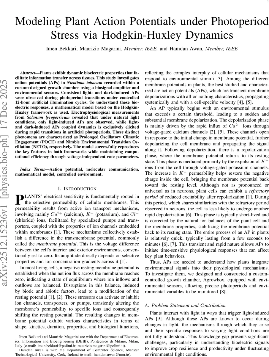 광주기 스트레스에서 식물 활동전위 모델링 Hodgkin Huxley 접근