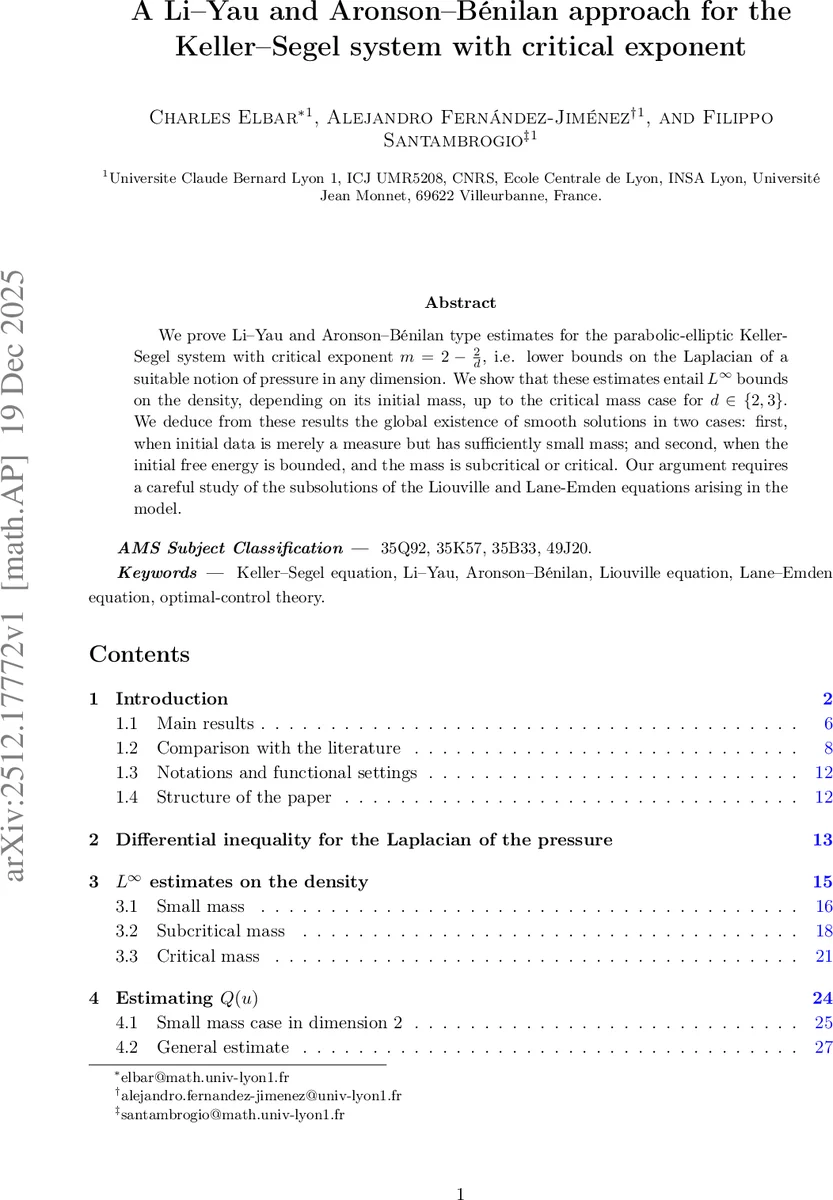 케러셀 시스템 임계 지수에 대한 리야우와 아론슨베날란 추정