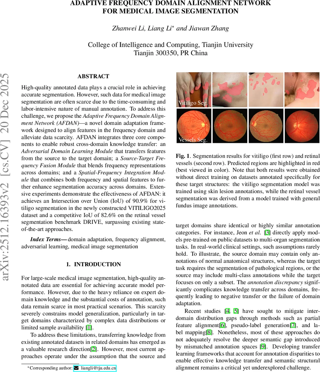 주파수 영역 적응을 통한 의료 영상 분할 혁신: AFDAN 네트워크