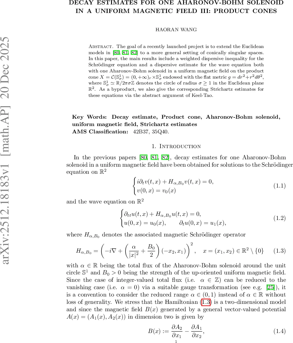 제품 원뿔에서 Aharonov‑Bohm 솔레노이드와 균일 자기장에 대한 감쇠 추정