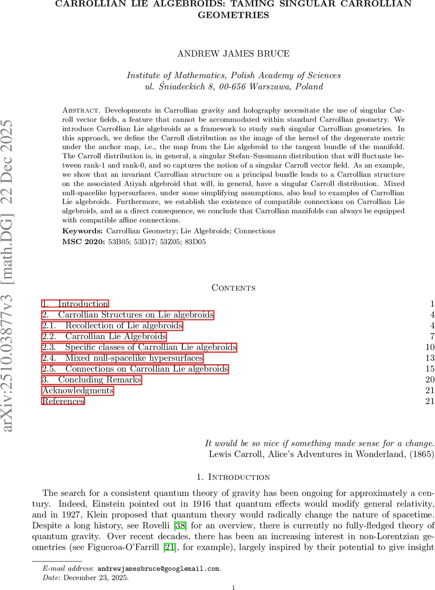 특이 카롤리안 기하학을 다루는 카롤리안 리대수다발