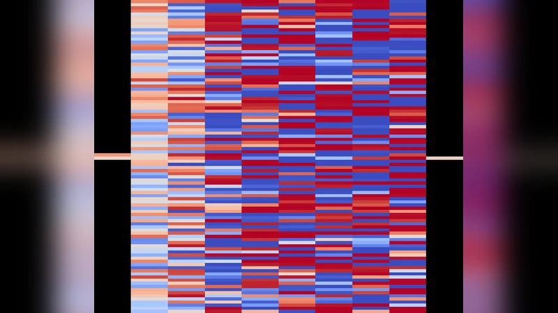 신경망 체인과 이산 동역학 시스템