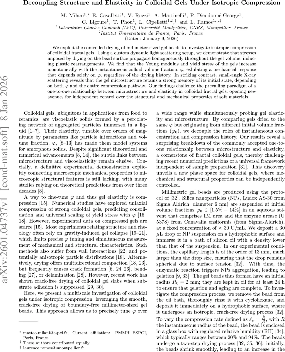 � charmonium 붕괴 파라미터화와 전자 양전자 단일·쌍 생산 단면계산