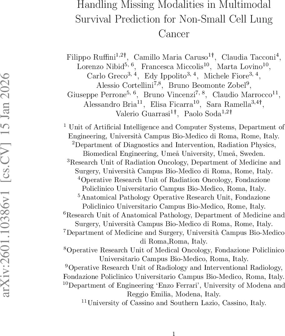 활성 M왜성의 근적외선 편광 스펙트럼 해석: 한계와 새로운 ZDI 접근법