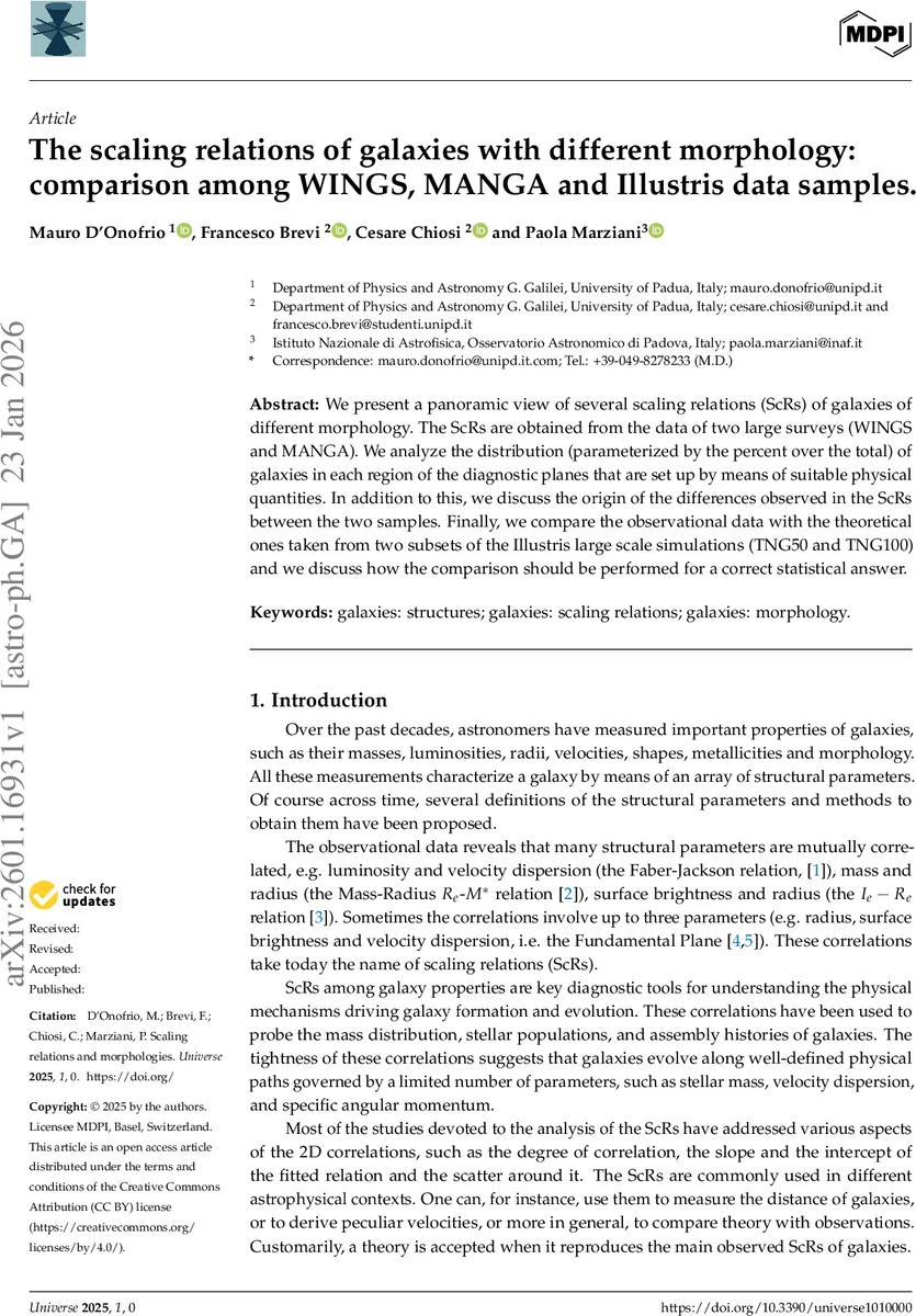 다차원 데이터 구조 생성 도구 cardinalR