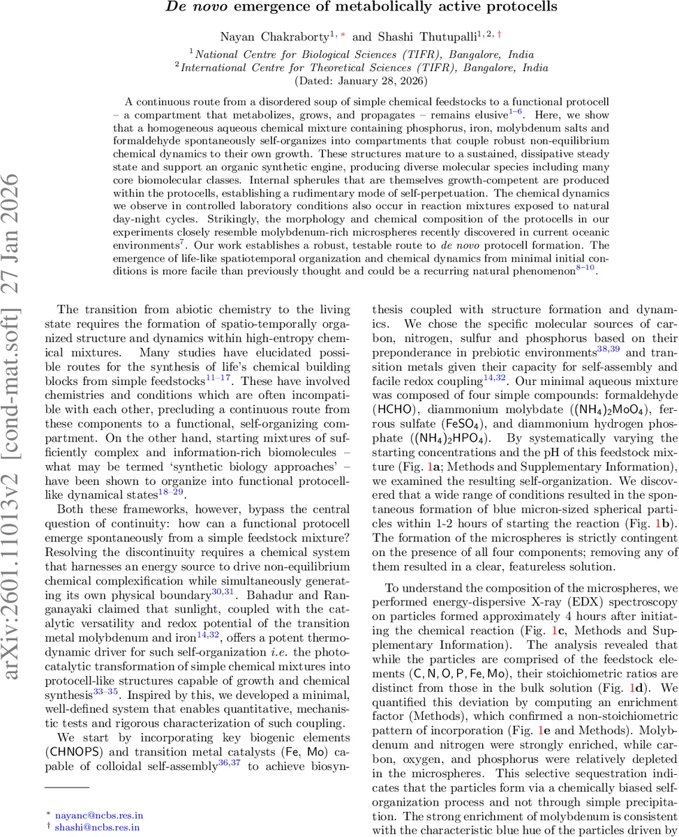 아핀 A형에서 루시그의 비대칭 대수와 플랑크헤르 정리의 새로운 전개