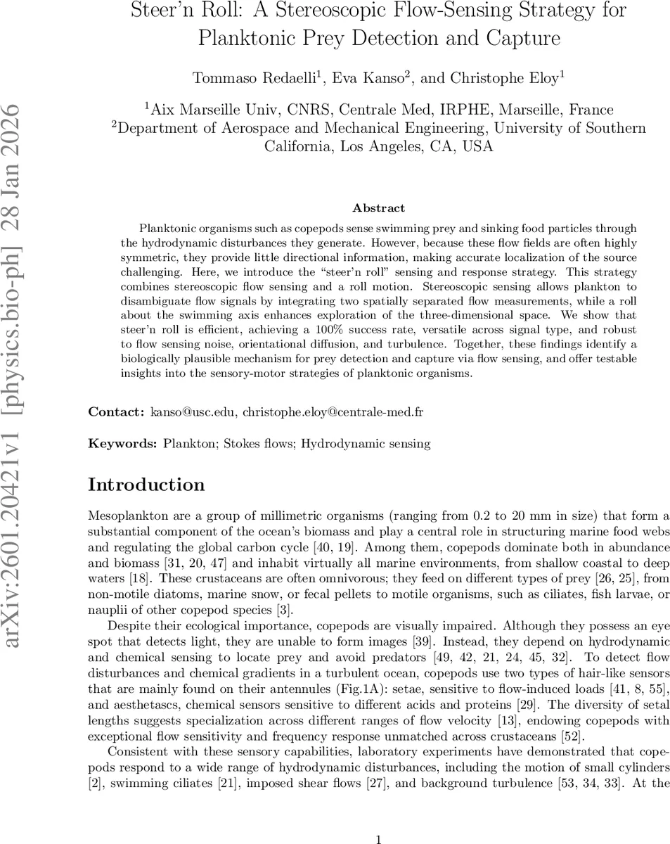 SCET에서 콜리날 연산자 기저에 숨겨진 자기에너지 효과