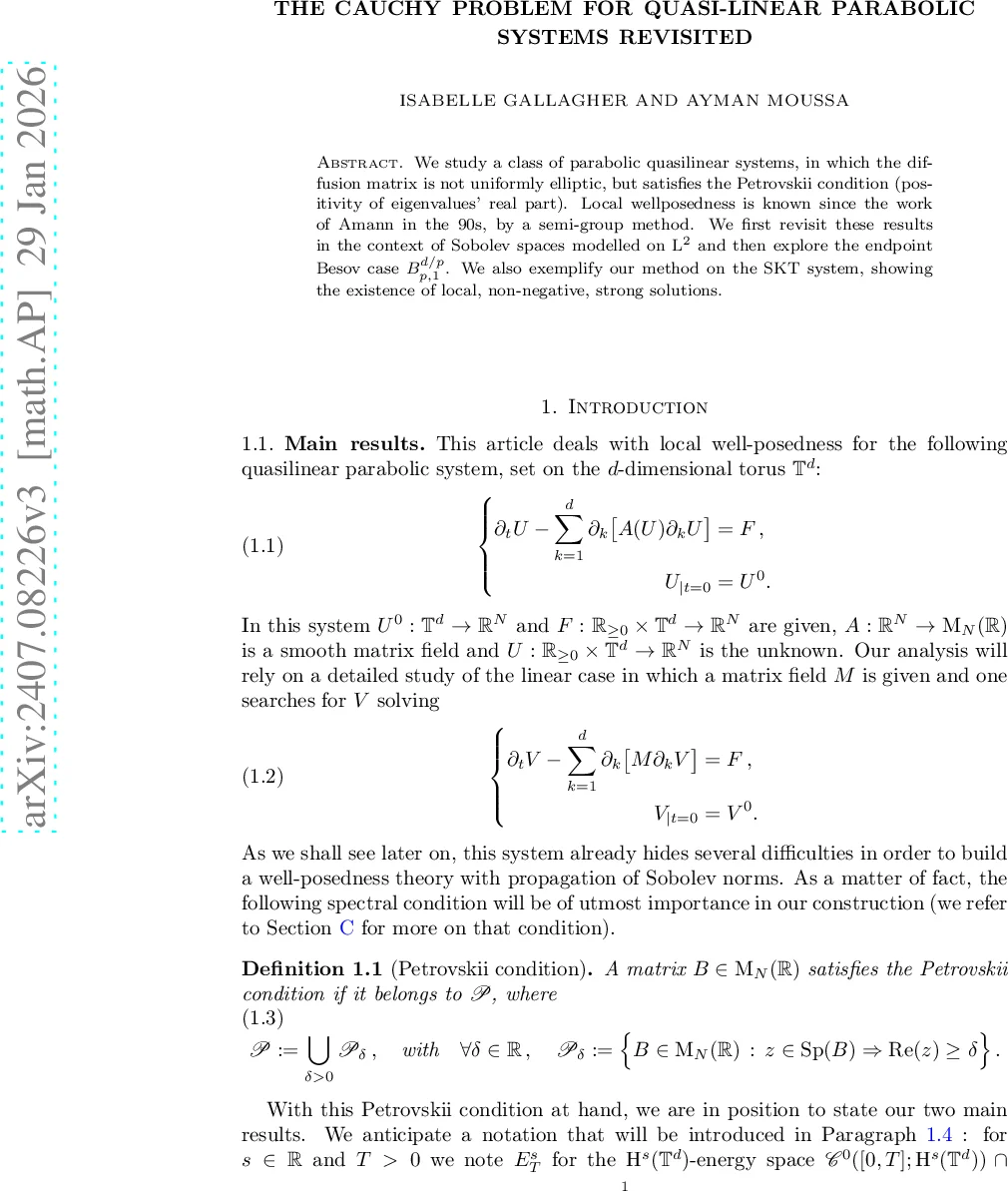 준선형 포아송 시스템의 초기값 문제 재조명