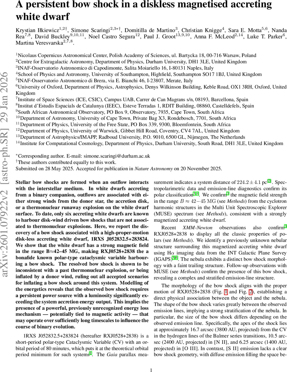 플라스틱 구면의 별분할·웨지 연산과 부슈타버 수의 완전성