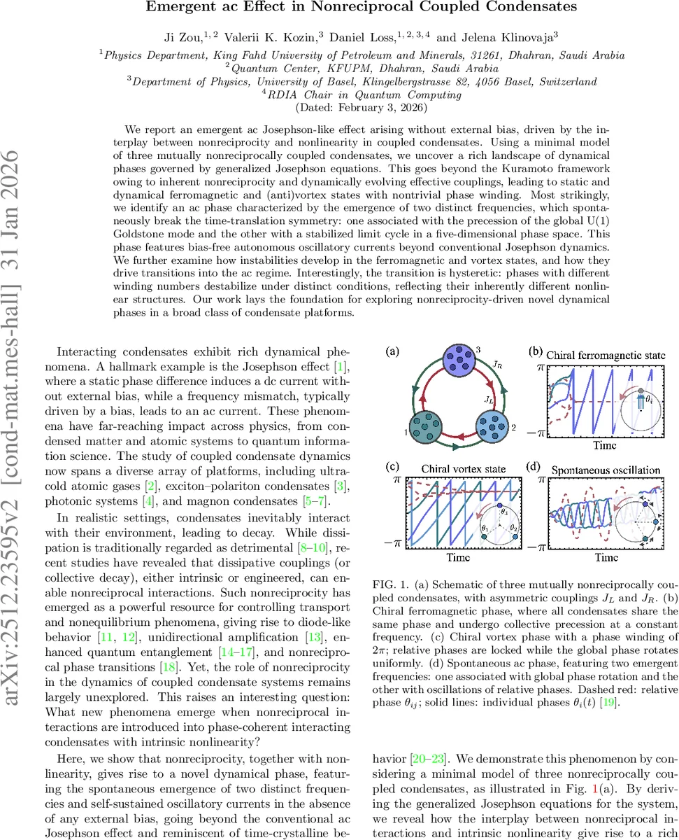 비가역 결합 콘덴세이트에서 나타나는 자발적 교류 효과