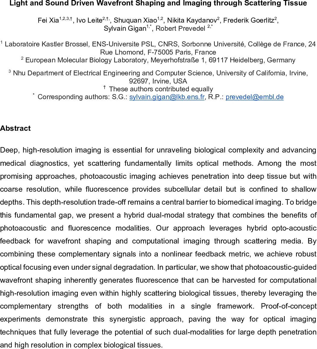 LLM 기억 삭제의 새로운 패러다임: 적응형 직교와 적대적 게이팅 학습