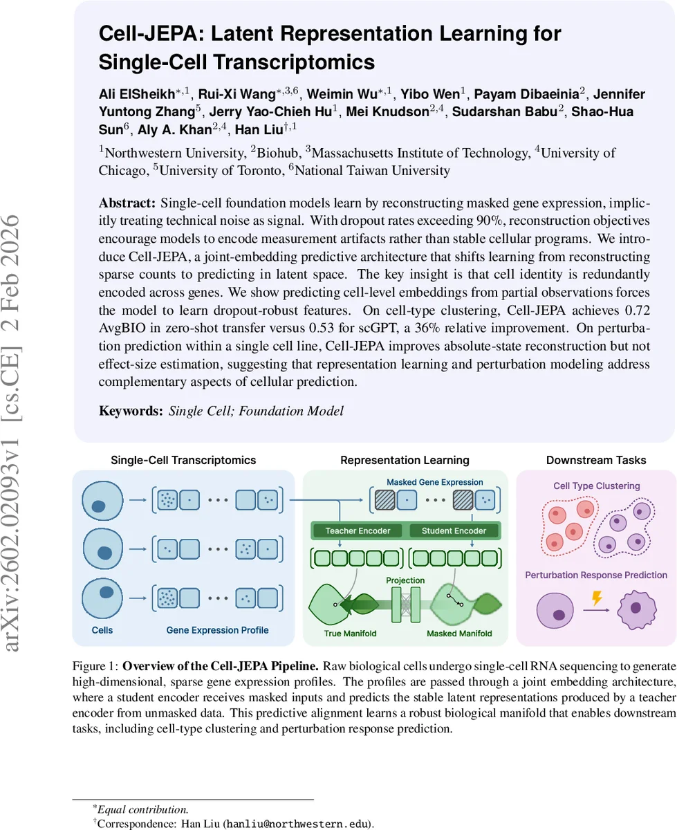 셀제파: 단일 세포 전사체를 위한 잠재 표현 학습 모델