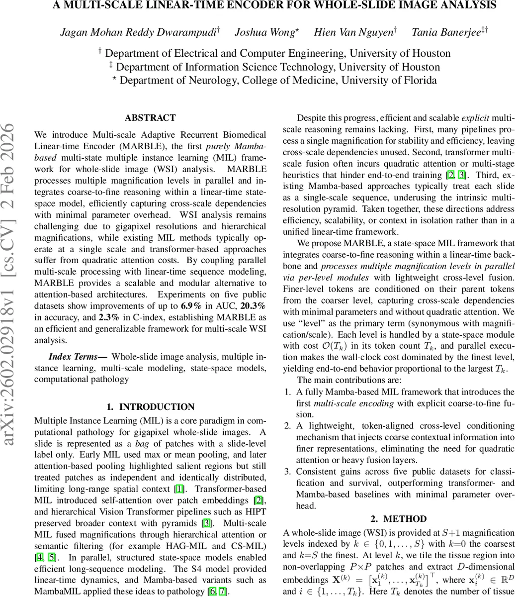 멀티스케일 선형시간 인코더 MARBLE로 전체 슬라이드 이미지 분석 혁신