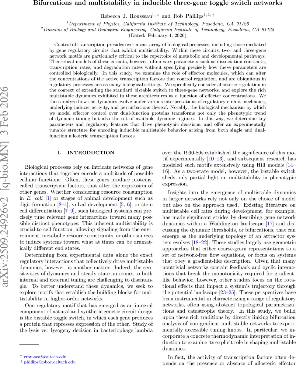 저온에서 탄생한 초균일 패턴: 대규모 소용돌이 물질 영상으로 본 새로운 설계 원리
