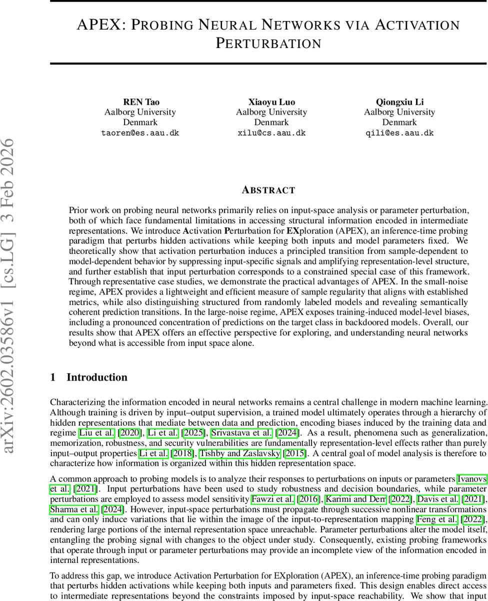 활성화 교란으로 신경망 구조 탐색