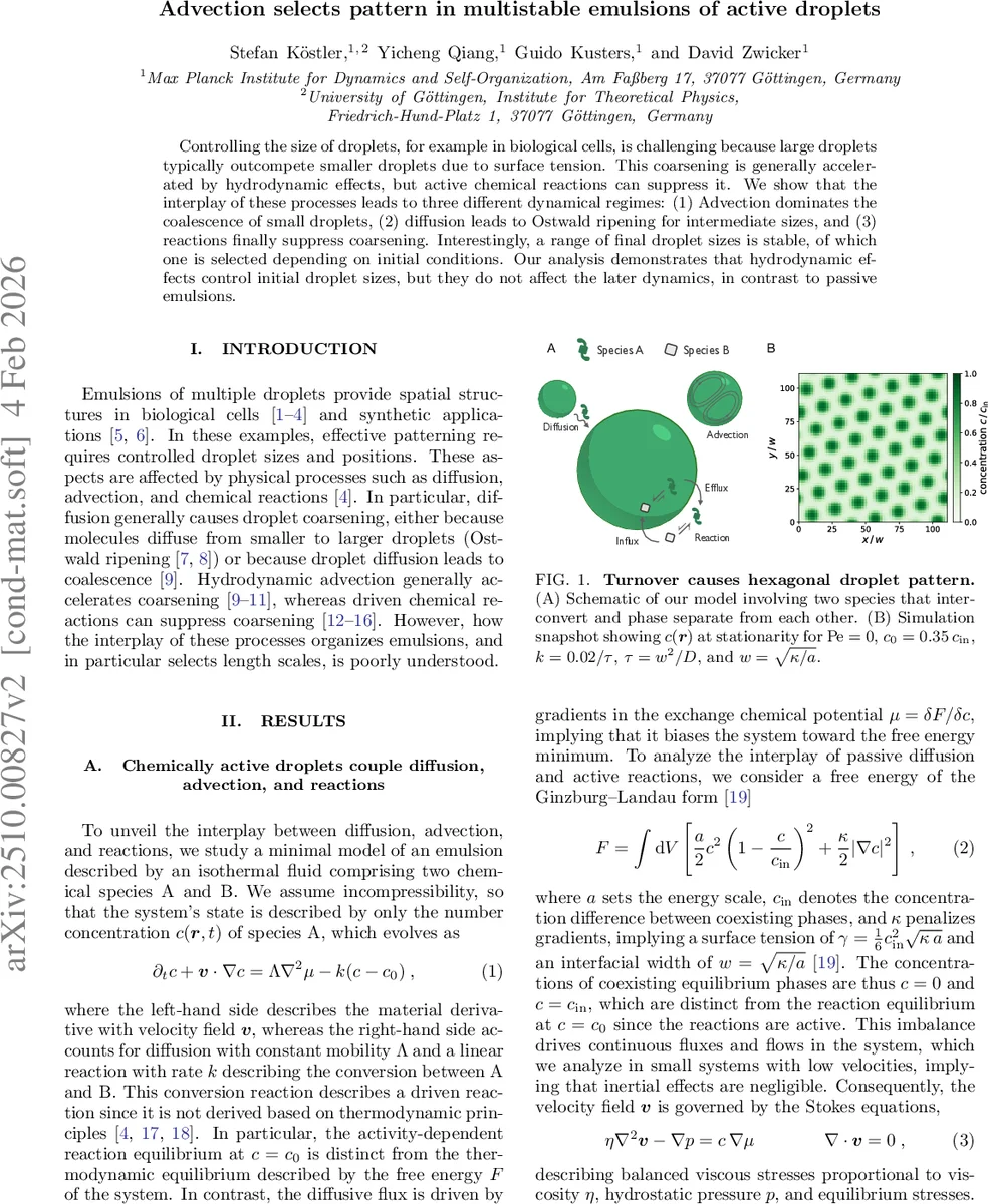 활성 액적의 패턴을 선택하는 유동 효과