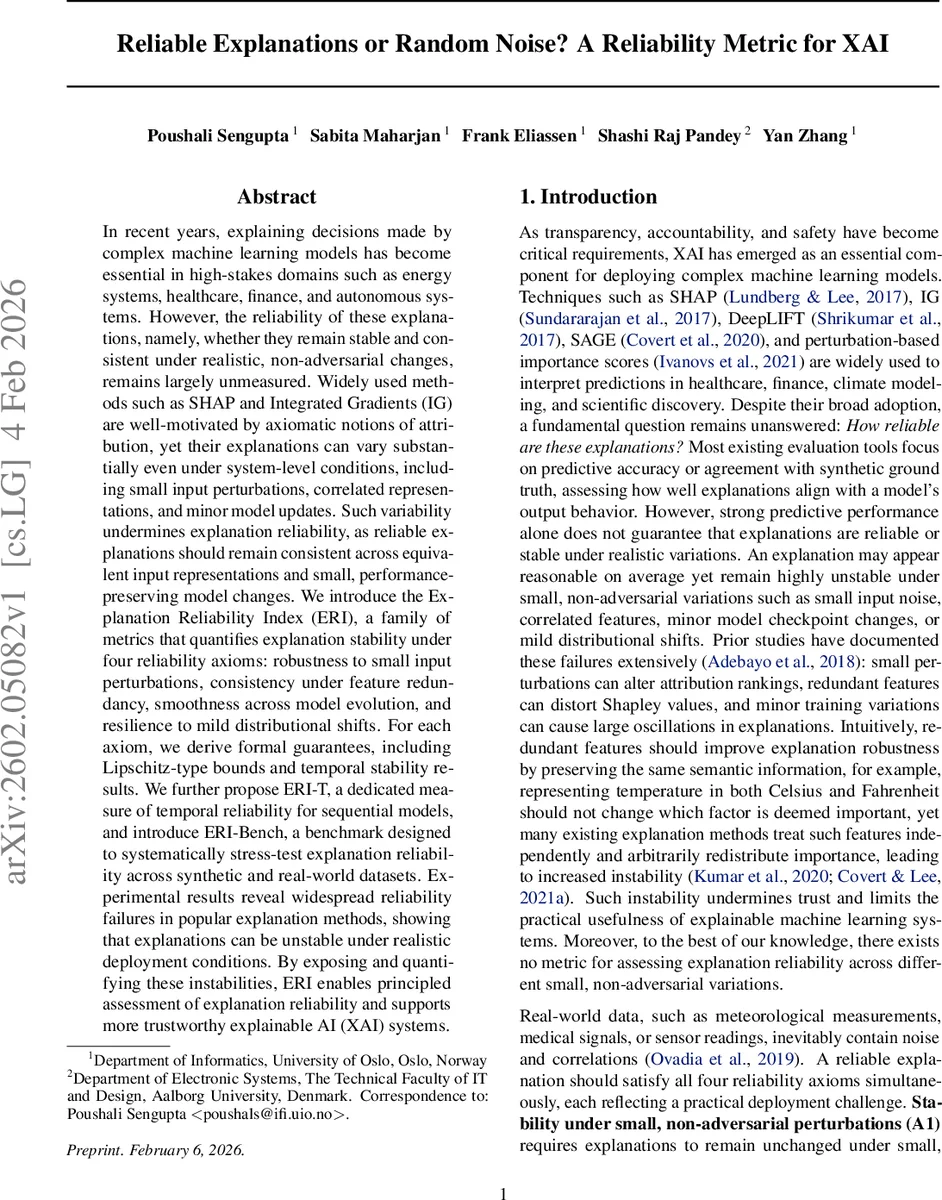 신뢰할 수 있는 설명 혹은 무작위 잡음