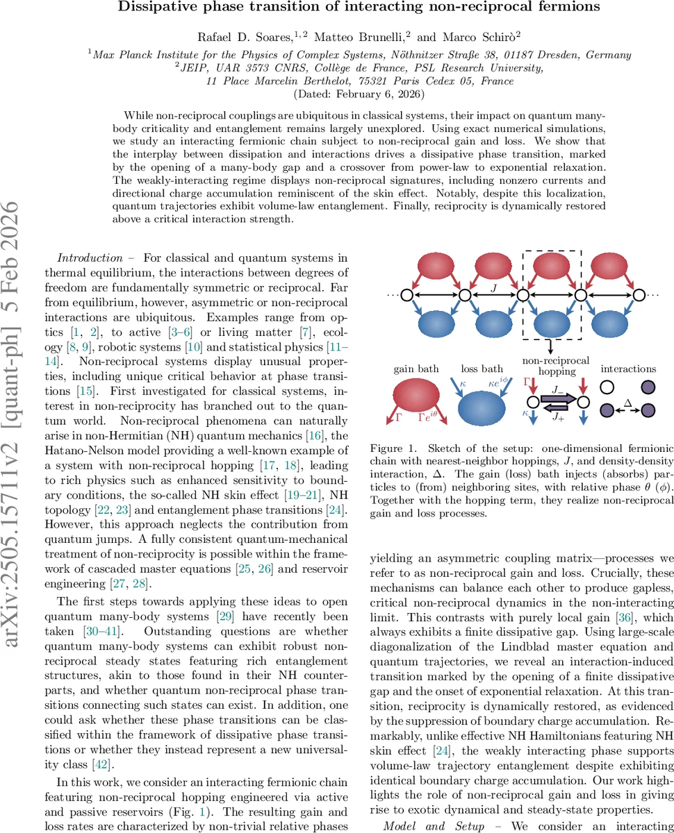 비가역 페르미온의 소산 위상 전이와 엔트로피 구조