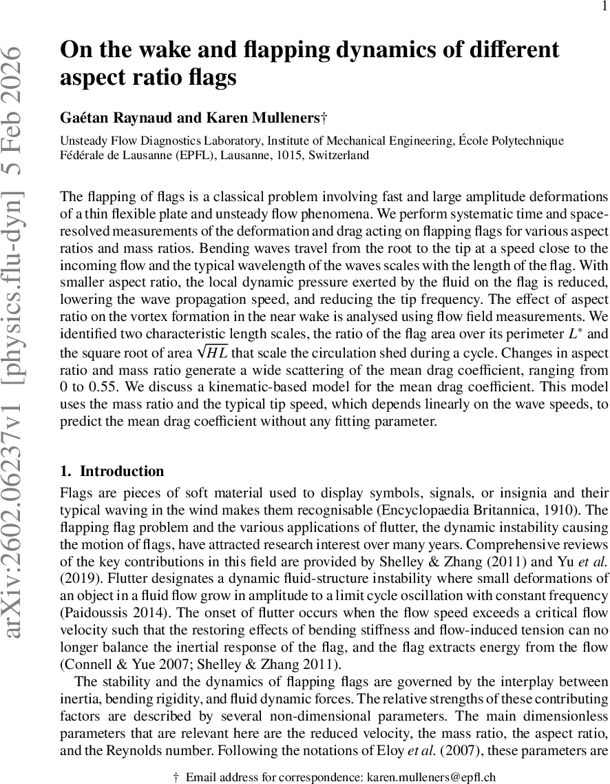 다양한 종횡비 깃발의 파동·와류·항력 역학