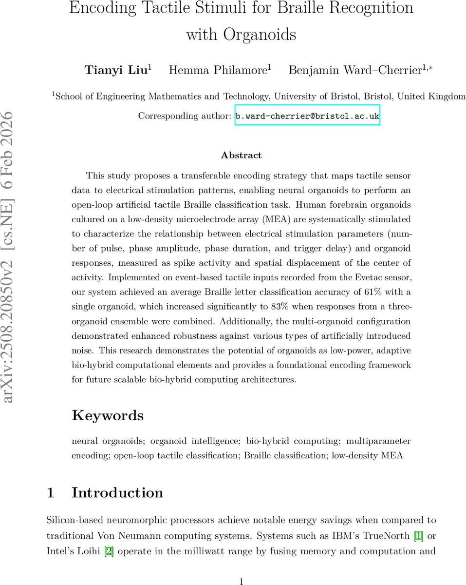 뇌 오가노이드로 촉각 브라유 인식: 저밀도 MEA 기반 인코딩 전략