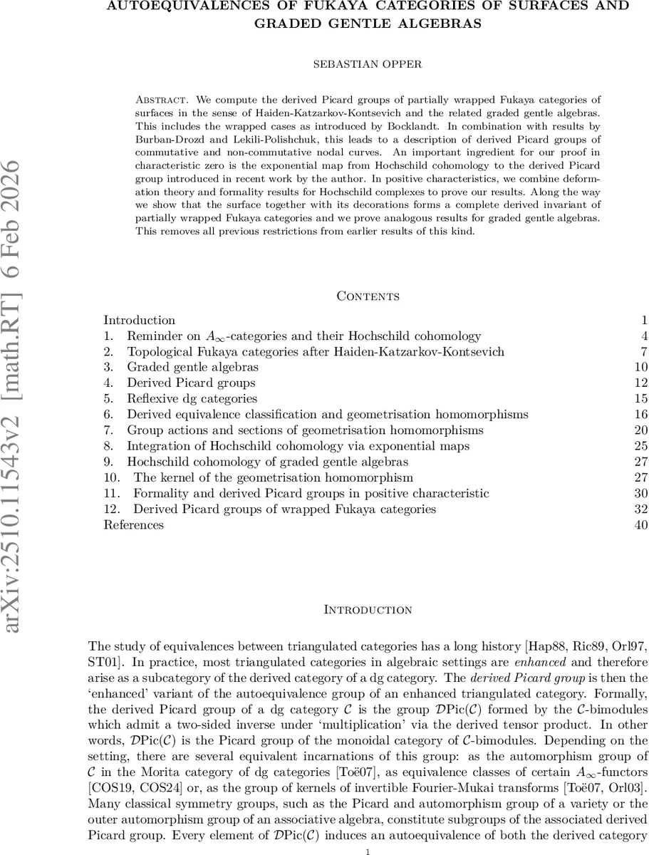 표면 푹카이 카테고리와 그레이드 젠틀 대수의 자동동형군 연구