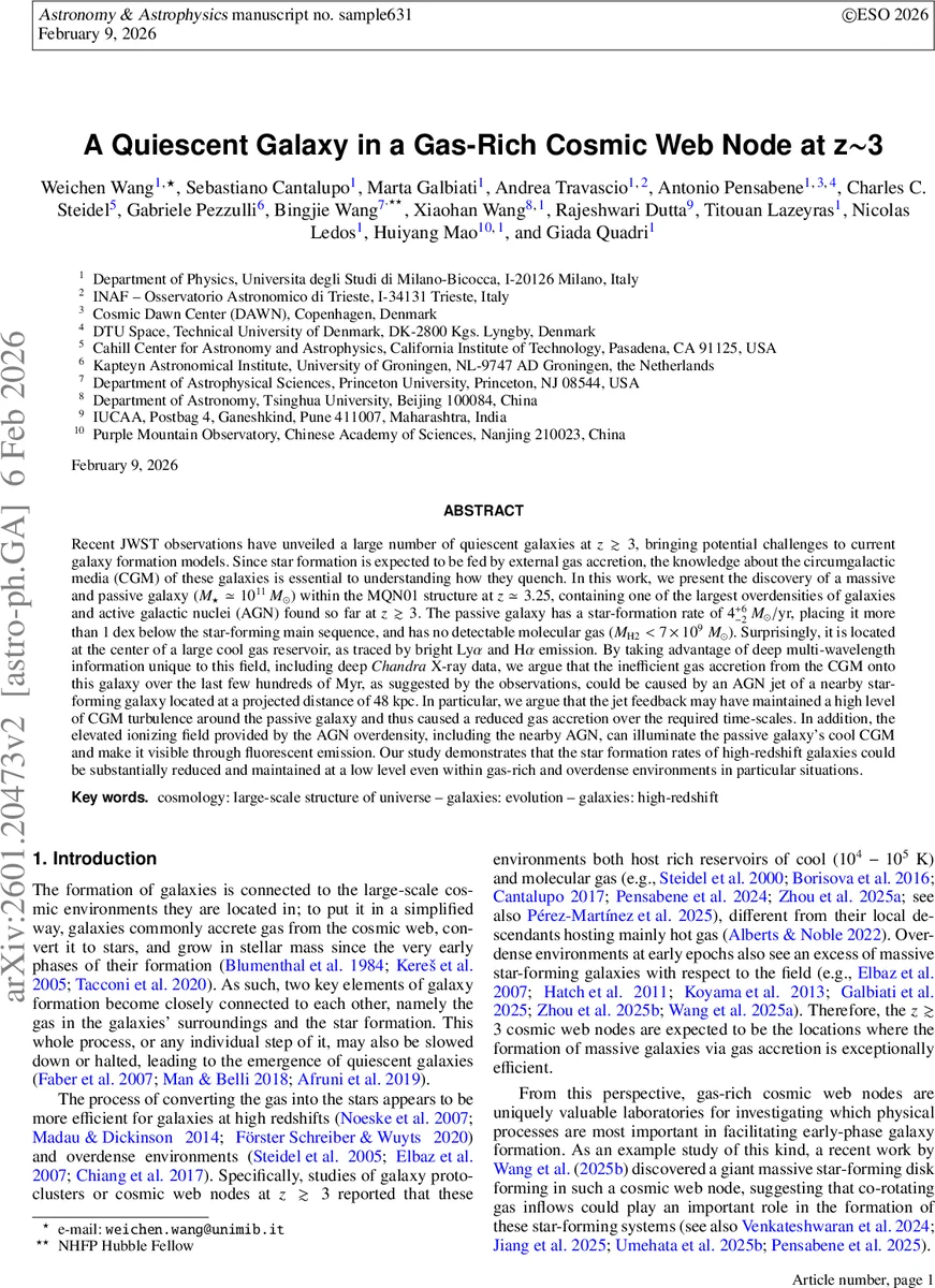 가스가 풍부한 우주망 교차점에서 발견된 고전적 퀴언트 은하