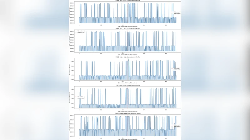 중심 원리 변환기 제2 세포 조절 메커니즘을 밝히는 AI 현미경
