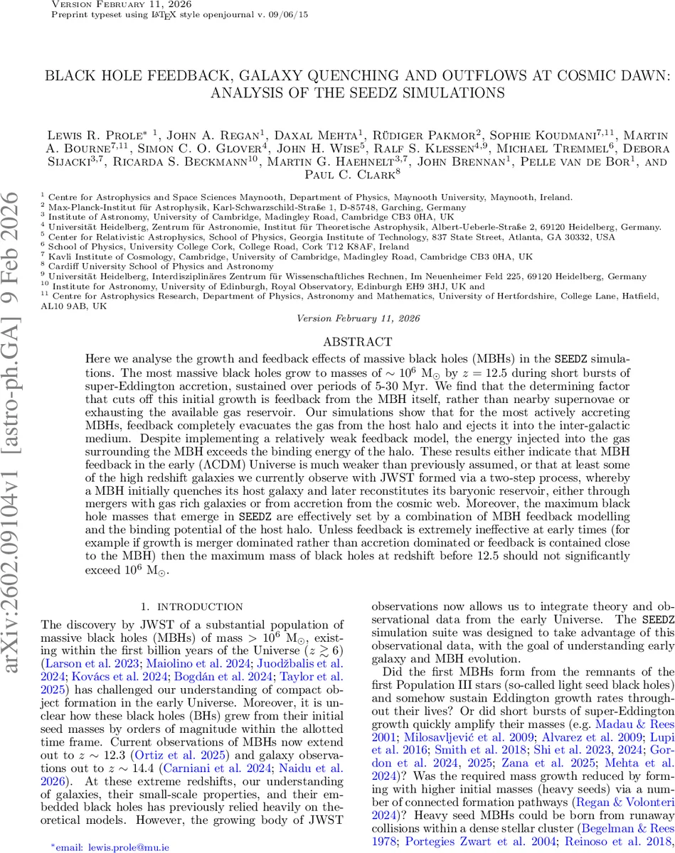 우주 초기 블랙홀 피드백과 은하 퀜칭: SEEDZ 시뮬레이션 종합 분석