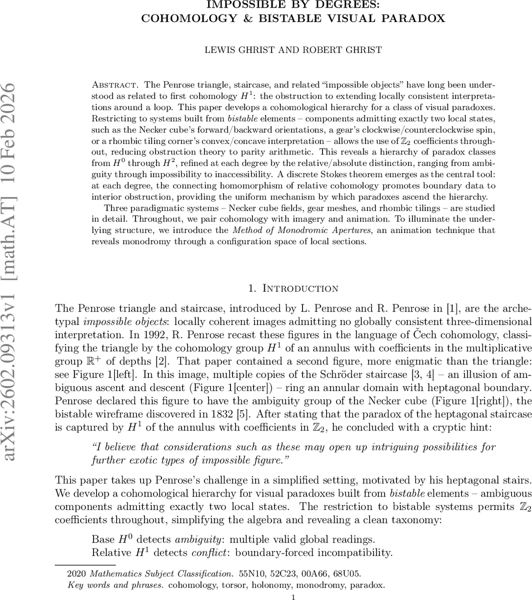 불가능의 차원을 넘다: 동시성(cohomology)과 이중안정 시각역설