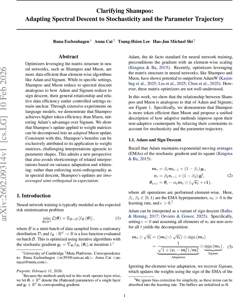 샴푸와 뮤온: 스펙트럴 하강의 적응과 토큰 효율성 비교