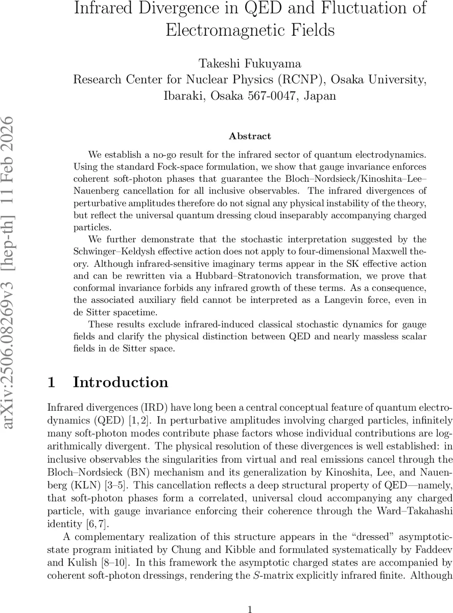 적외선 발산과 QED의 양자 코히런스: 확률적 해석의 불가능성