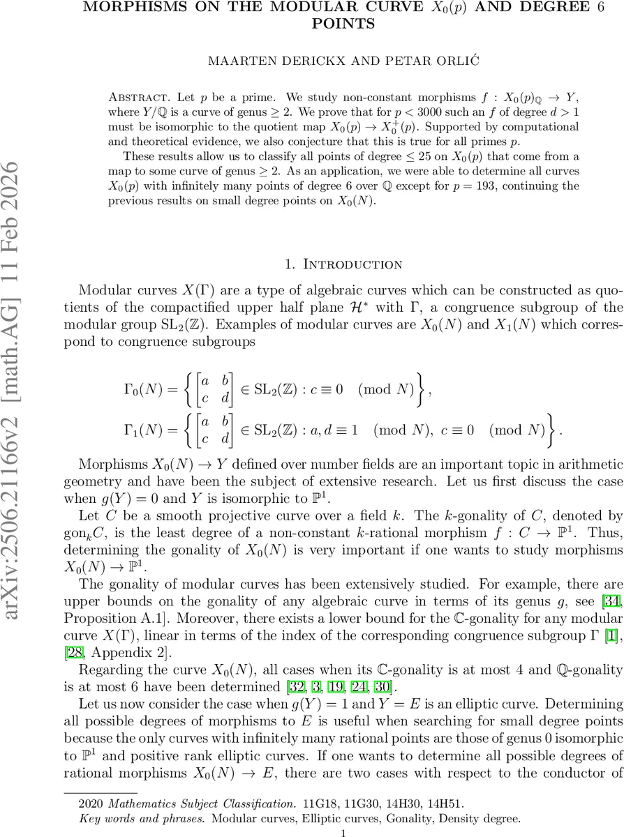 섬유 네트워크가 활성 응력을 증폭한다