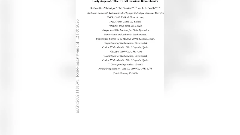 집단 침윤 초기 단계의 역학을 위한 분수 단계 세포 Potts 모델