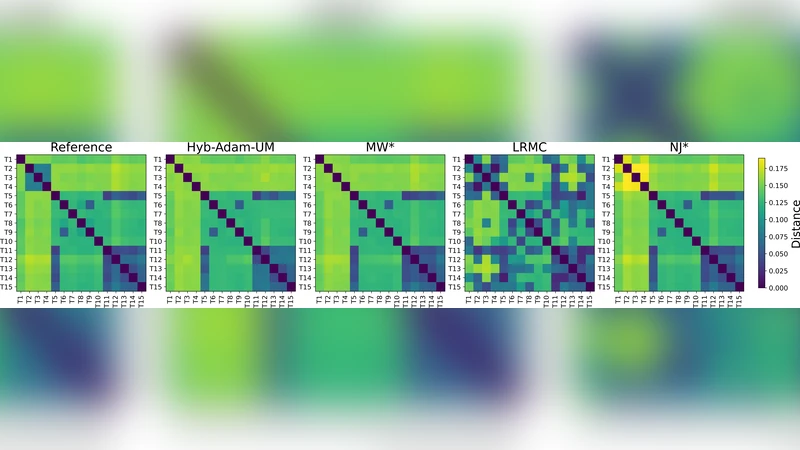 하이브리드 아담 초음계 mtDNA 계통 재구성