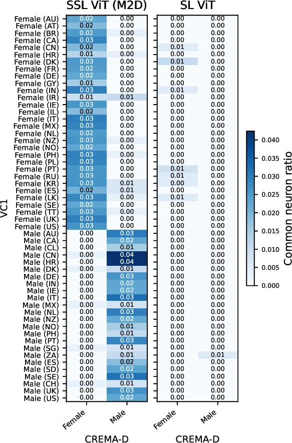 오디오 SSL 모델의 뉴런이 듣는 것