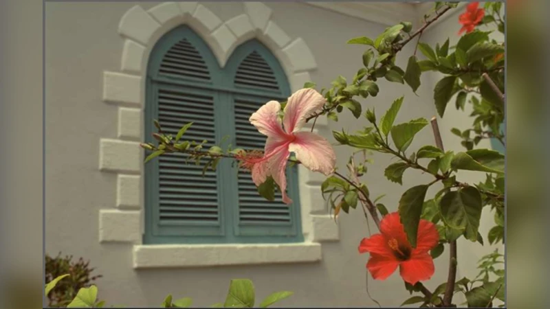 비참조 품질 지표 기반 비디오 인코딩 최적화