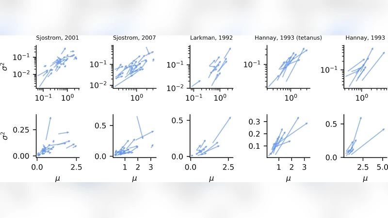 에너지 예산이 시냅스 정밀도와 가소성을 좌우한다