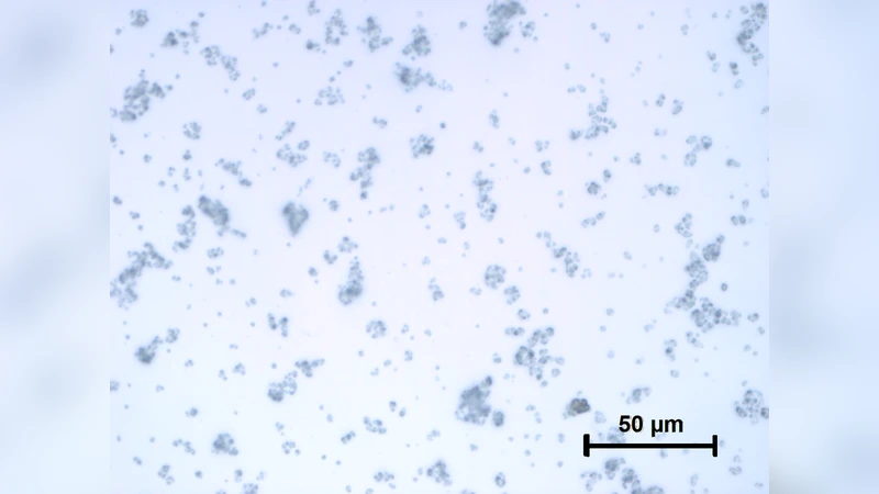 광변색 마이크론 하이브리드 필름의 광학 상수 역설계
