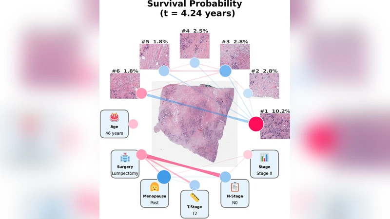 생존 모델 해석을 위한 기능 분해와 샤플리 상호작용