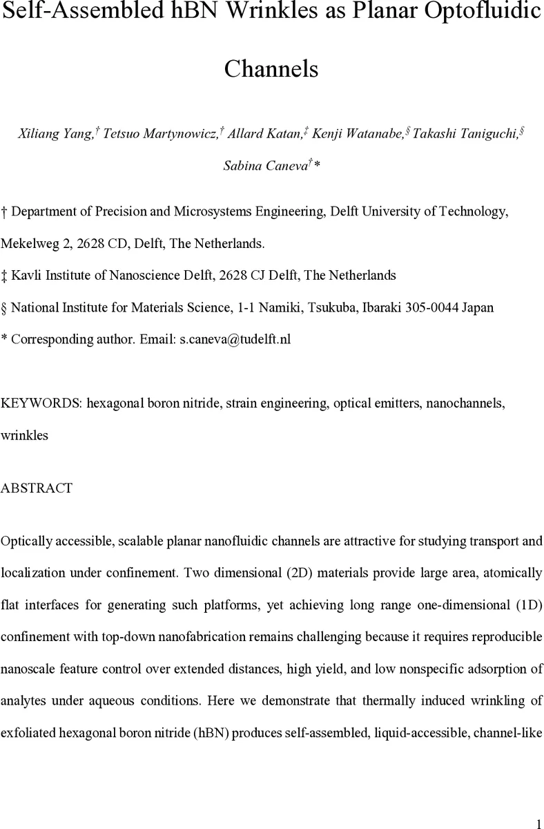 자연스러운 hBN 주름을 이용한 평면 나노유체 채널