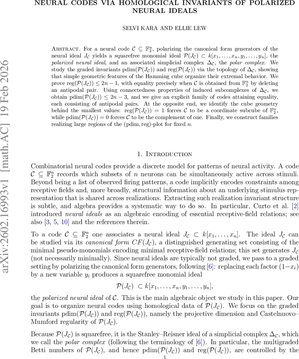 신경 코드의 극화 이데알과 동차 불변량 연구