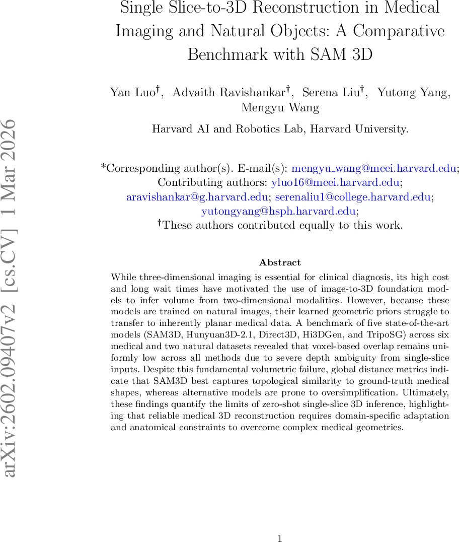 베이즈식 반사와 뉴컴버 패러독스: 인식·결정 체계의 분리