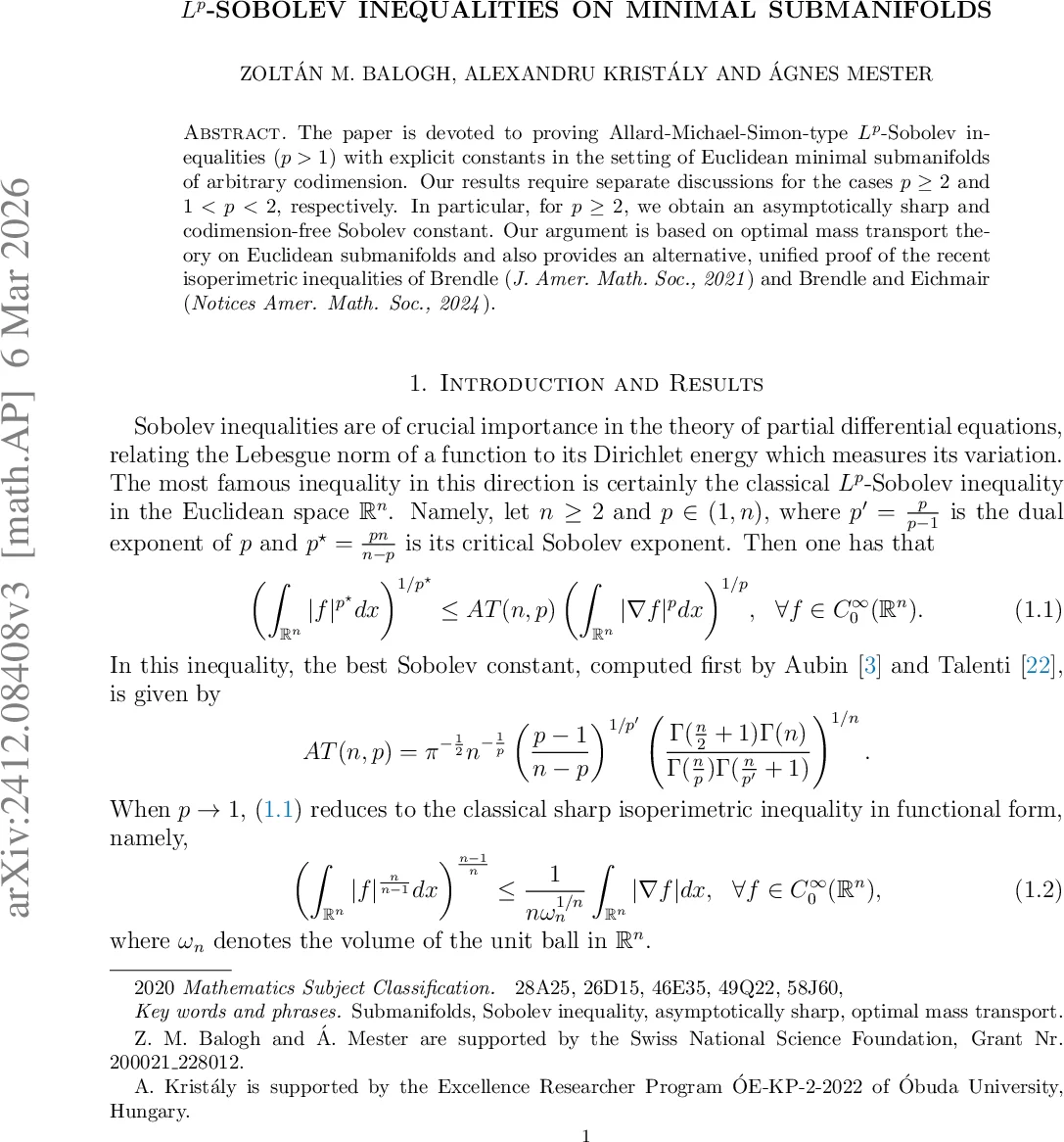 최소 부분다양체의 L^p Sobolev 부등식