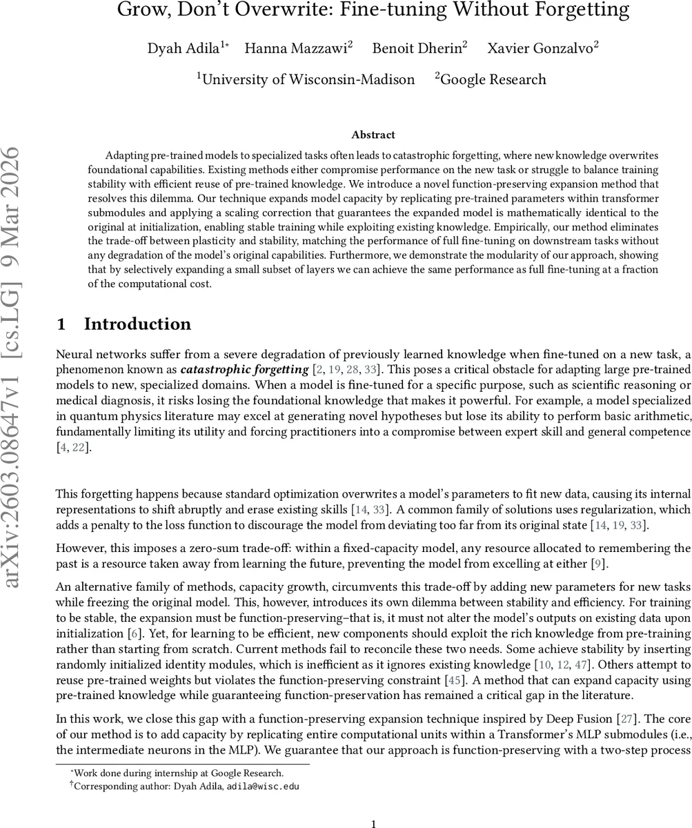 성장하라, 덮어쓰지 말라: 망각 없는 파인튜닝